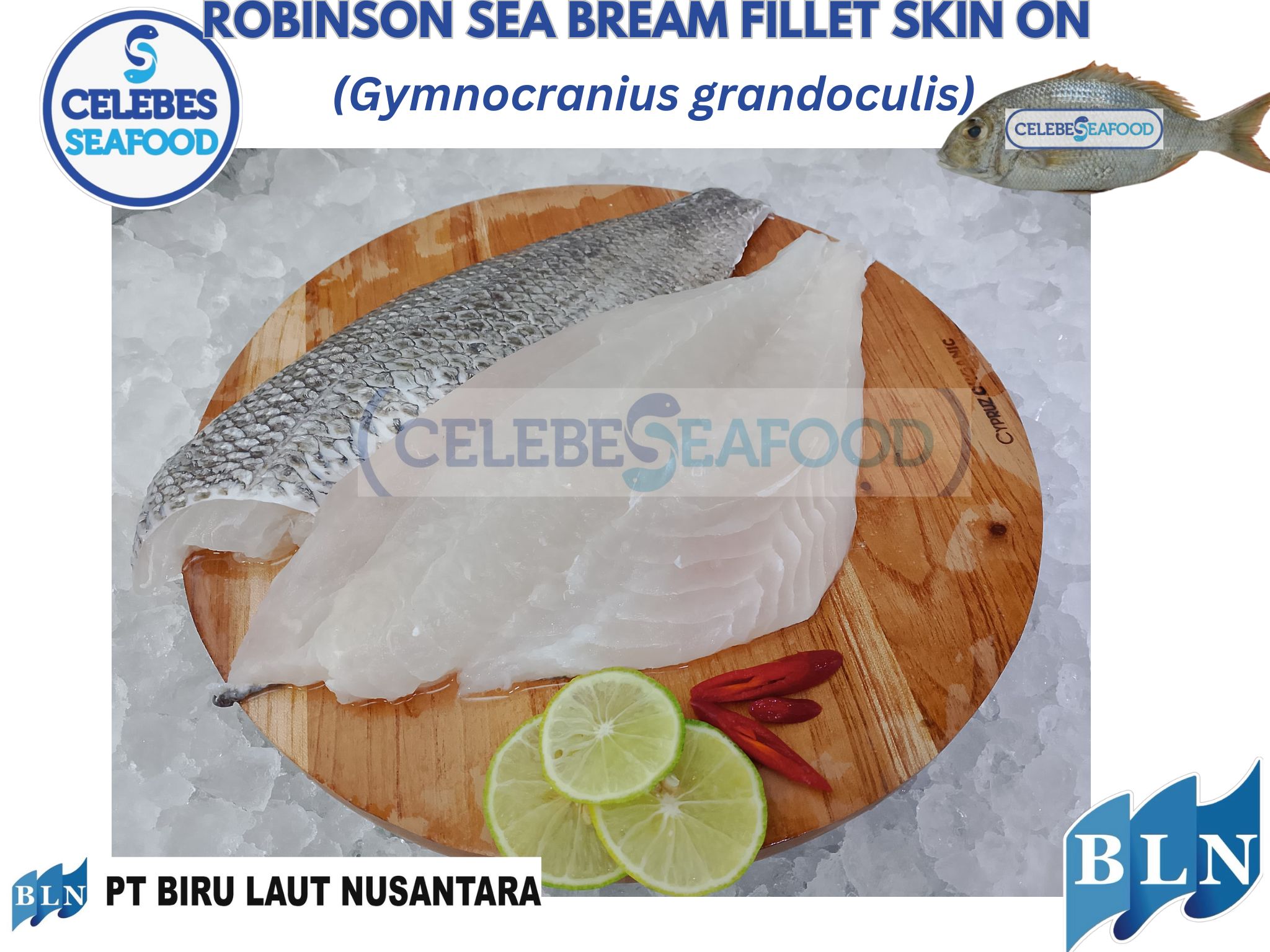 Robinson Sea Bream Fillet Skin On